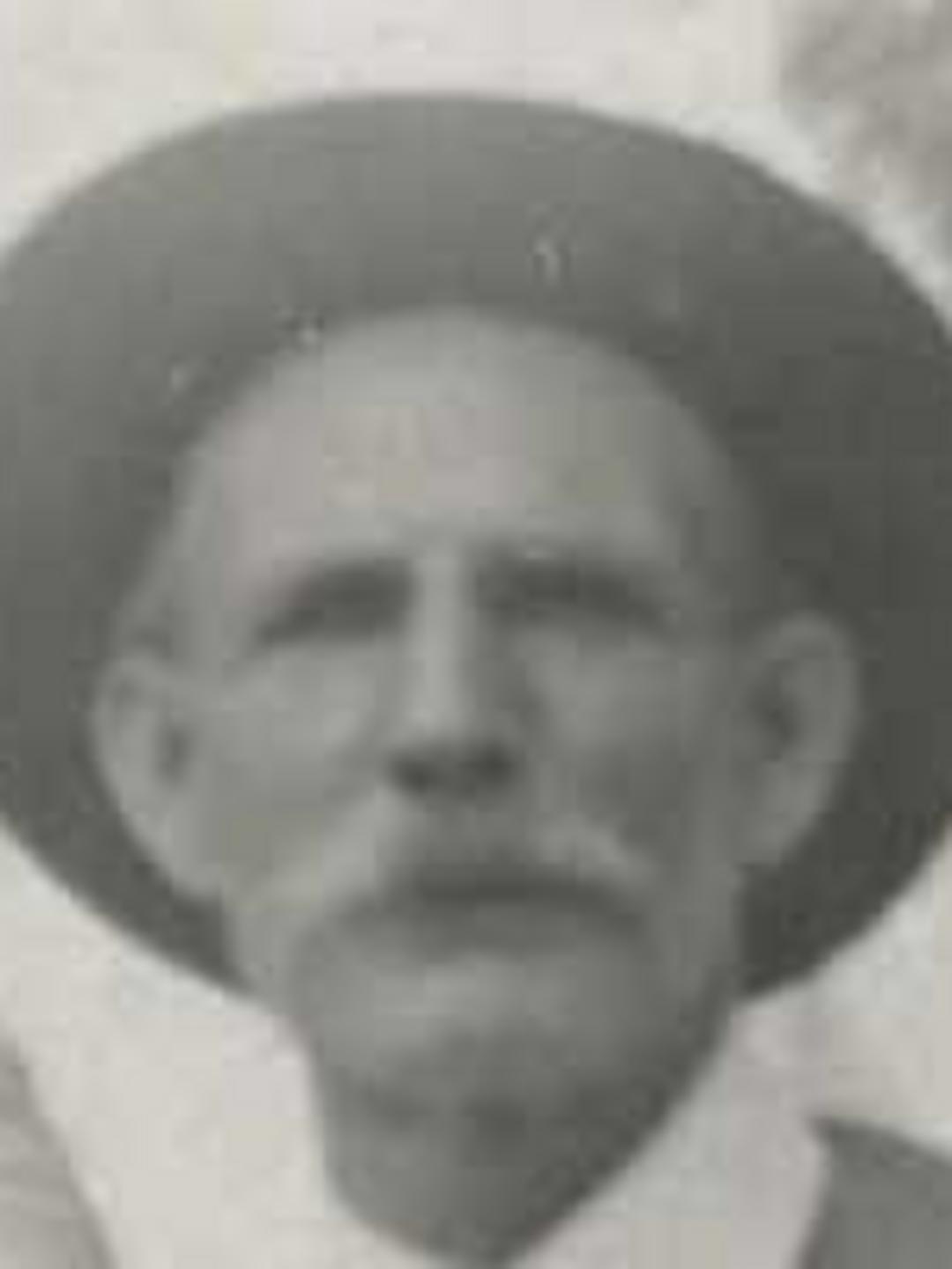 David William Bailey (1851 - 1939) Profile